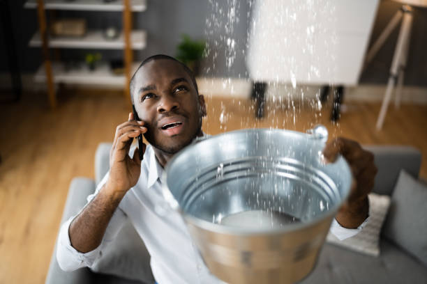 Best Ceiling water damage repair  in Fayette, OH