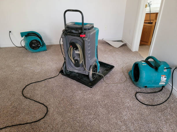 Best Emergency water damage restoration  in Fayette, OH