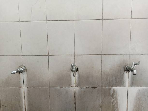 Best Basement water damage restoration  in Fayette, OH