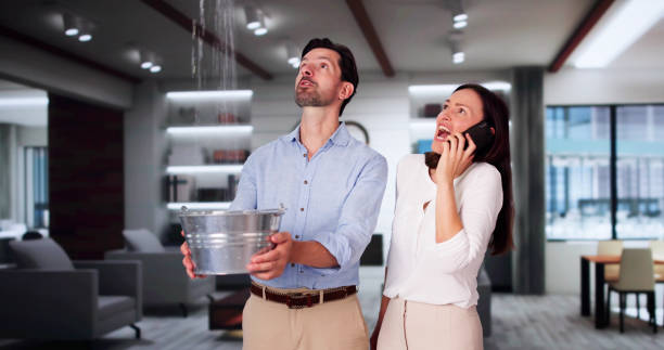 Best Fire Damage Restoration  in Fayette, OH