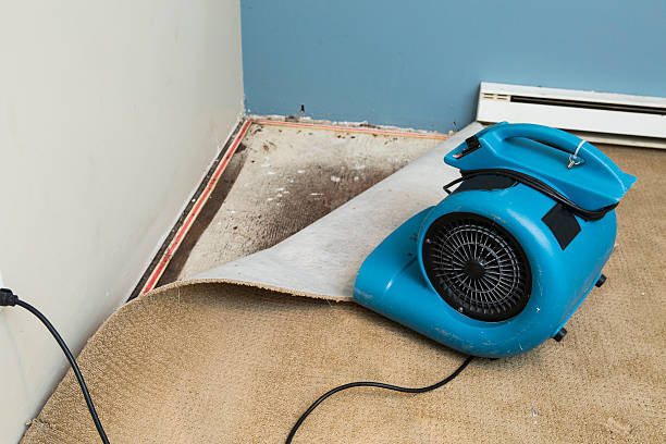 Best Water damage restoration process  in Fayette, OH